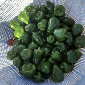 わがまま聞いたった