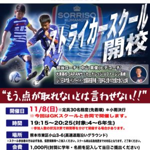 【延期日程決定】ストライカースクール＊GKスクール