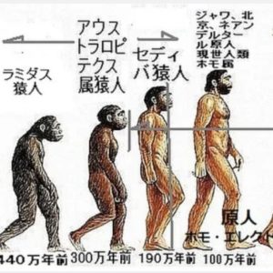 アロマ