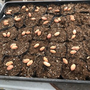 ネタじゃないのよ笑