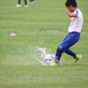 フリージアフェス一日目