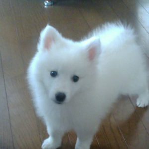 思わぬところからブログネタ