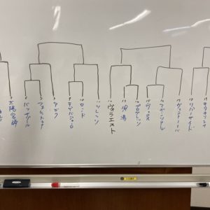組み合わせ決定