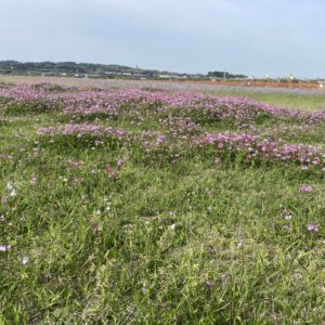 見回りウィーク