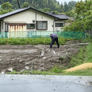 気分が上がらない月曜日ブログの質も上がらない月曜日