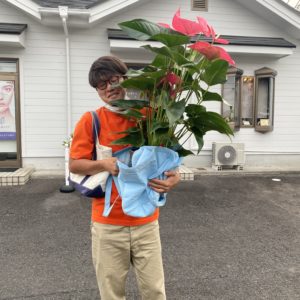 置いてそうな花