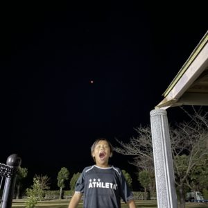 ちゃんと見たら、、、