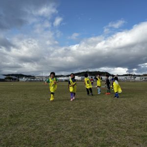今日は