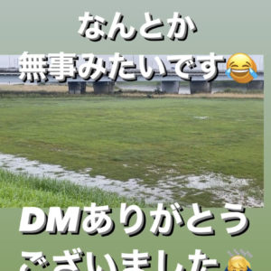 被害
