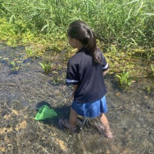 カテゴリーアップ