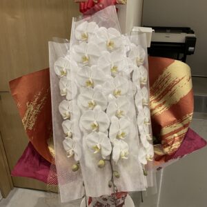 感謝！！！