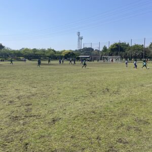 少しずつでも