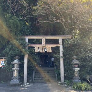 ここまできたら