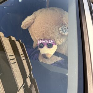 ４セット現場DAY