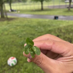 サッカー日和...