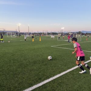 コツコツと積み上げ