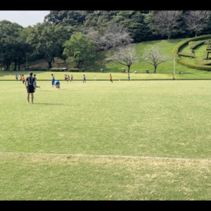 戦闘能力を