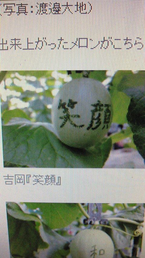 せいじコーチのブログ-201012071230000.jpg