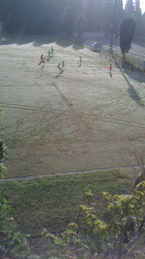 2016081107280000.jpg